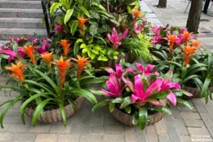 8 New York City Hidden Gems You Must See in 2026 (Free & Unique Spots)