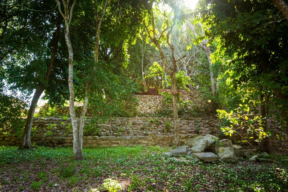 Step into the "Yellow City" of Izamal, Mexico. Every building in the historic center is painted a vibrant egg-yolk yellow! Don't miss climbing the Kinich Kak Moo pyramid for a 360-degree view of this colonial magic. #Izamal #MexicoMagicTown