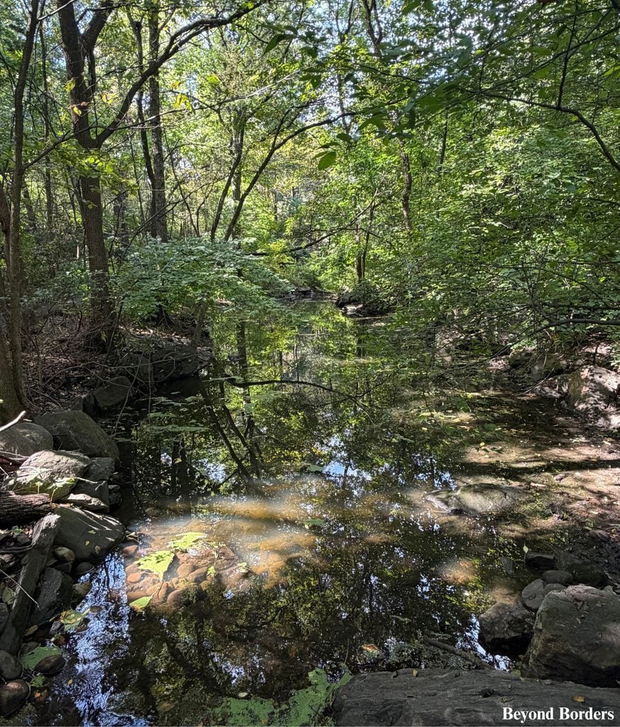 The Loch flowing directly through The Ravine in Central Park's North Woods at the bridge going over The Loch along the Loch Walking Path in Manhattan, NYC; quiet spots in Central Park