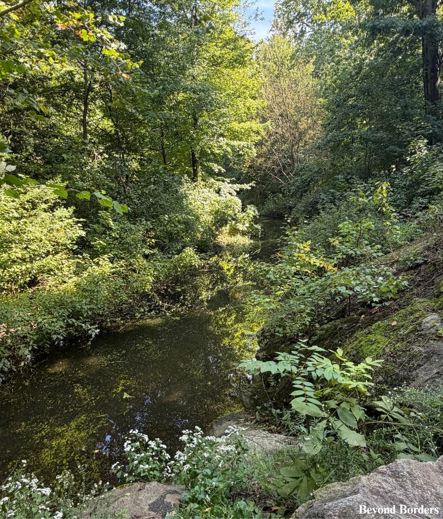 The Loch flowing directly through The Ravine along the Loch Walking Path in Central Park's North Woods in Manhattan, NYC; quiet spots in Central Park