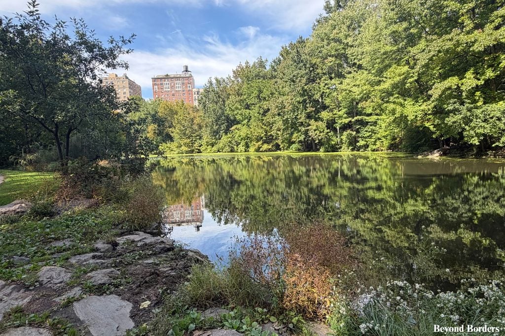 Scenic view of The Pool in Central Park's North End framed by weeping willow trees and lush green foliage; quiet spots in Central Park