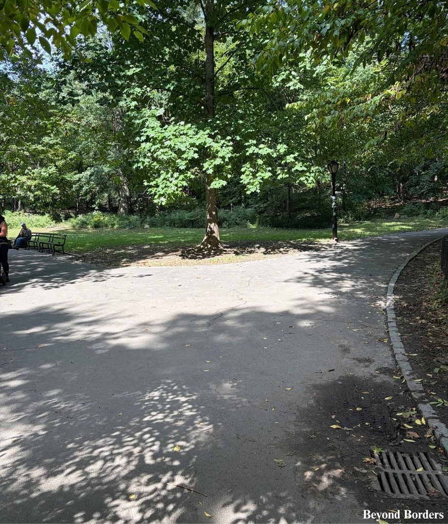When you reach The Pool in Central Park's north end, you will see these two paths. After taking photos, take the path to the right to walk north towards the Great Hill.